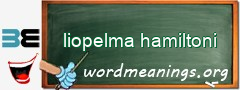 WordMeaning blackboard for liopelma hamiltoni